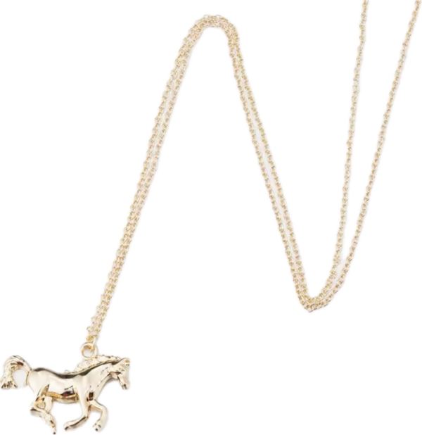 kolekcja_jezdziecka_horse_icons_spirit_gold_sara_baranska_01