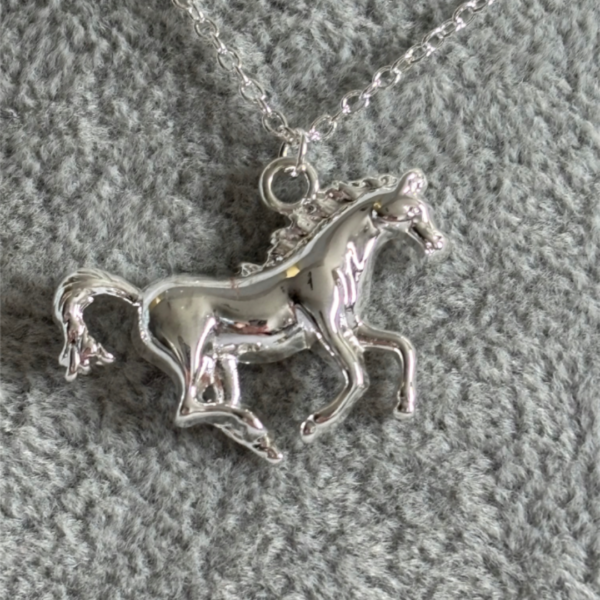 kolekcja_jezdziecka_horse_icons_spirit_silver_sara_baranska_01